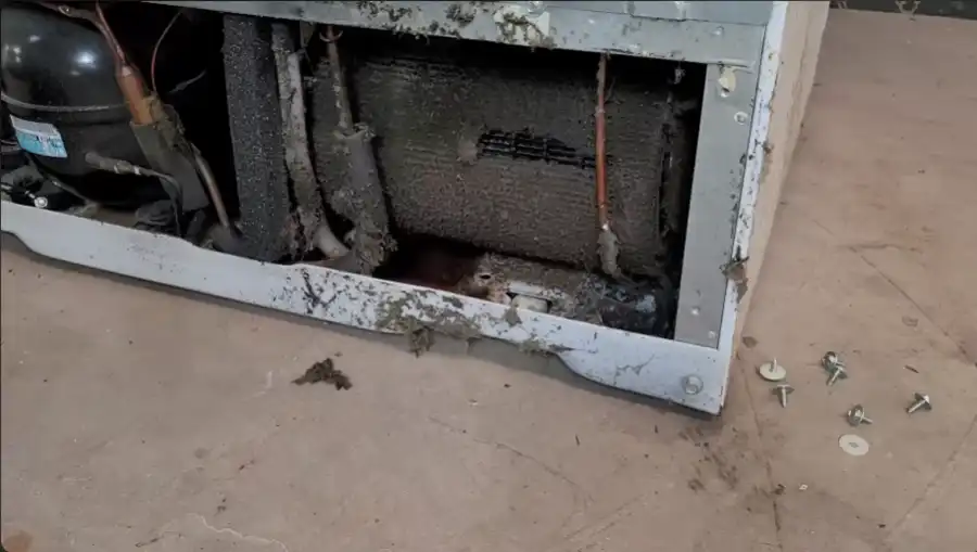 refrigerator_repair